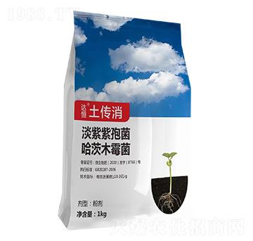 ������-���ʘI(y��)