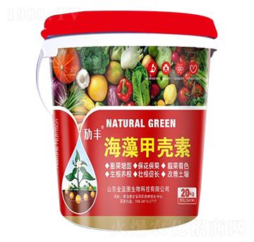 ����ך���-���{�D����