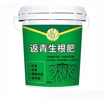 ����������-��ƽ��̼