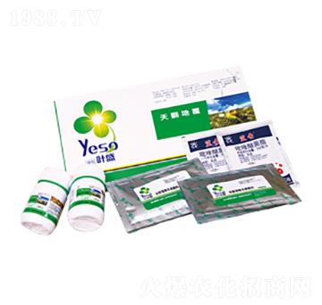 �������ȫ�I(y��ng)�B(y��ng)-�~ʢ����