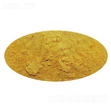 ������-ɽ�|����