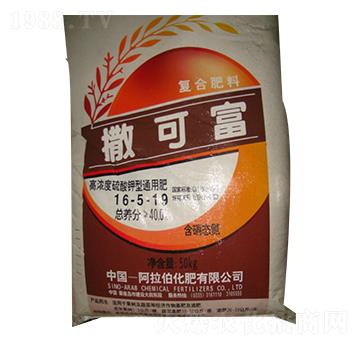 ������͏ͺϷ�16-5-19-���ɸ�