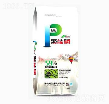 ��ጓ������-������-���|�_�ʘI(y��)