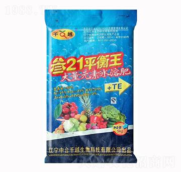 ��21ƽ����21-21-21-ǧԽ