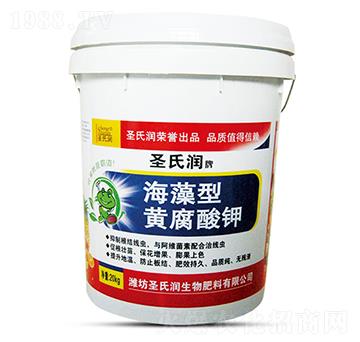 �������S�����-ʥ�ϝ�(r��n)