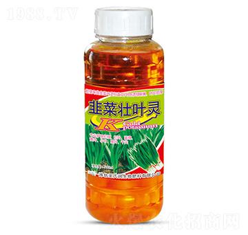 �²ˉ��~�`-ʥ�ϝ�