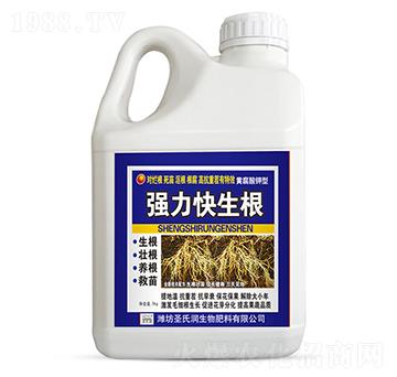 ��(qi��ng)��������-ʥ�ϝ�(r��n)