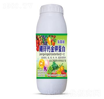 1000ml���\�}��⛵���-ʥ�ϝ�