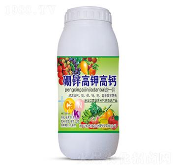 500ml���\��⛸��}-ʥ�ϝ�(r��n)