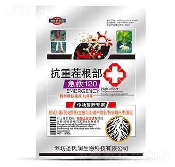 ���ز��������120-ʥ�ϝ�