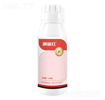 12%���ѡ��������x-�M�üt-��(gu��)�˸�