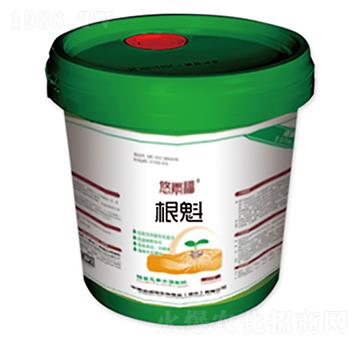 ����-���ظ�-�����Z����