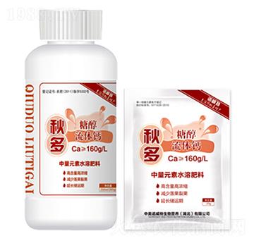 �Ǵ����w�}-���-�����Z����