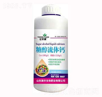 �Ǵ����w�}-�|�r��-��S����