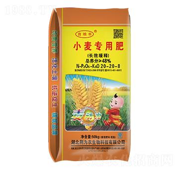 С�����÷�20-20-8-�����S