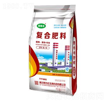 �ͺϷ���29-6-5-���Z�S