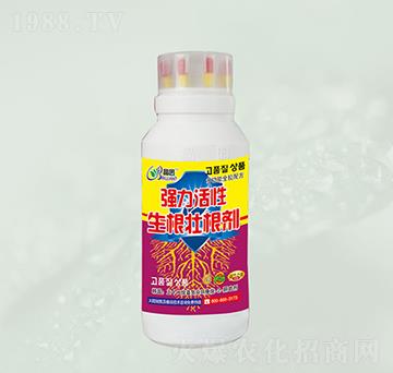 �������������Ѹ���-���@����