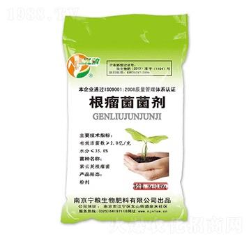 ����������-���Z����