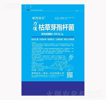 �ݲ�ѿ�ߗU��-����-�����P�r