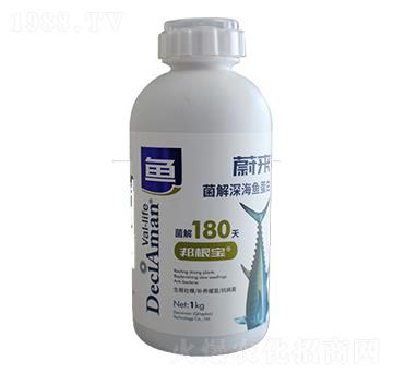 ������~����-ε��(l��i)-�����P(y��ng)�r(n��ng)