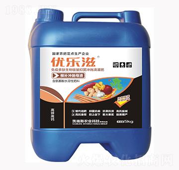 �K���K�o��(y��u)�x���a(b��)�_ʩĸҺ-��(y��u)����-�P��˹