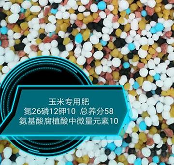 ���׌�(zhu��n)�ð����ḯֲ����΢��Ԫ��26-12-10-���r(n��ng)�r(n��ng)�I(y��)