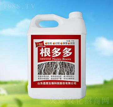 ���������LҺ-�����-��������