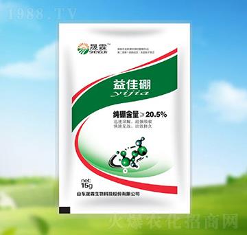 �����-��������