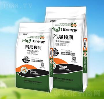 ����픝�-��������