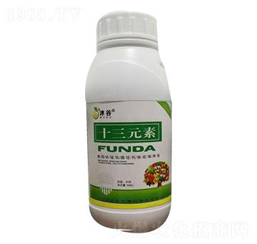 ʮ��Ԫ��-�������