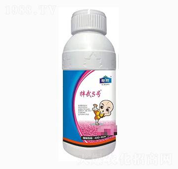 15%���x����������-����5̖(h��o)-⠰��r(n��ng)�I(y��)