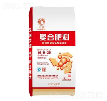 ������͏�(f��)�Ϸ���16-5-25-��ӯ����