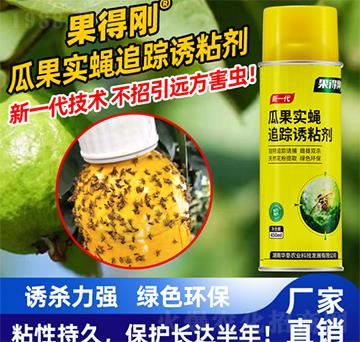 ���Ä��Ϲ���(sh��)ω׷ۙ�Tճ��-�A���r(n��ng)�I(y��)