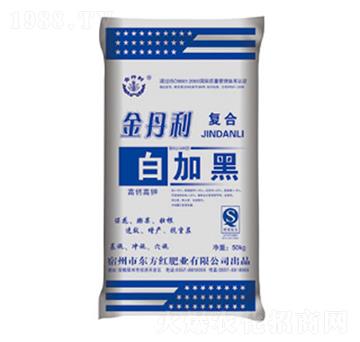 �׼ӺڏͺϷ�-����-�|���t