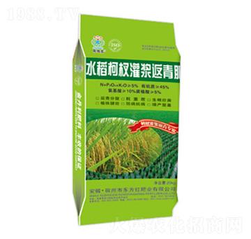 ˮ����边��{�����-�|���t