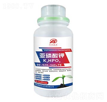 �������00-520-340+TE-�Aԥ����