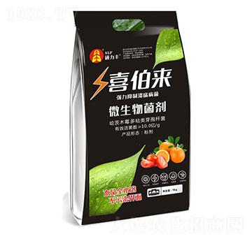 ΢�������-ϲ����(l��i)-�T���S����