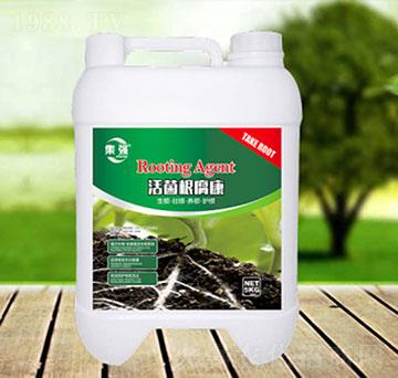 ���������-�\�����Q��