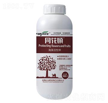 ͬ��혺�������-������