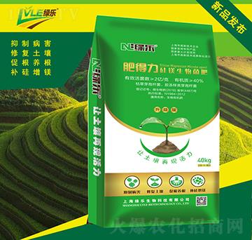 ���V�������-�ʵ���-