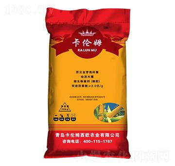 ���׷��طN��-����ķ-���ݳ���