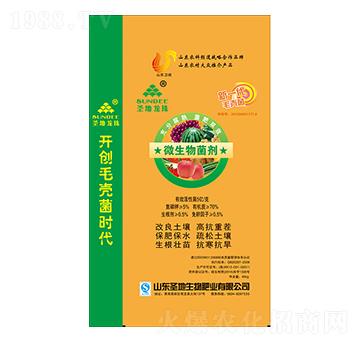 ΢�������-ʥ������-ʥ��