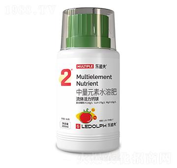 ���w�����}�V-������