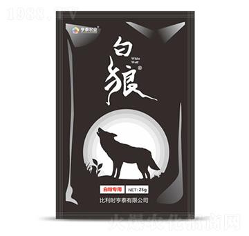 �׷۲����ð���-��̩�r�I(y��)