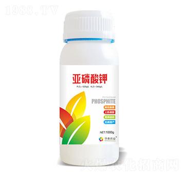 �������-��̩�r(n��ng)�I(y��)