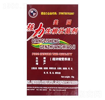 �����������焩-����ţ