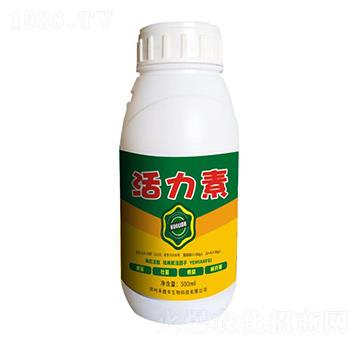 ������-��ֲ�S