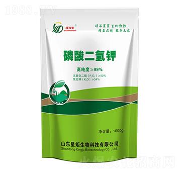 ��������-�Ǿ�����