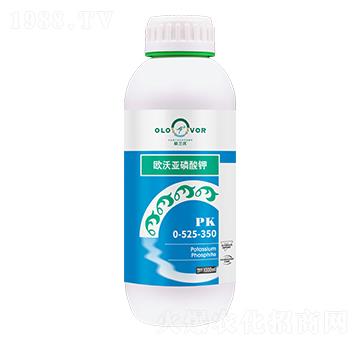 �W�ց������0-525-350-�W�m��