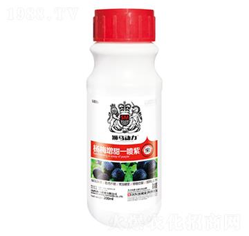 楊梅增甜一噴紫-獅馬肥業(yè)